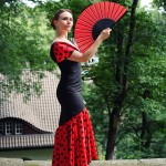 Flamenco Ladybird - sold