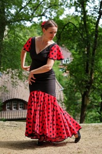 Flamenco Ladybird